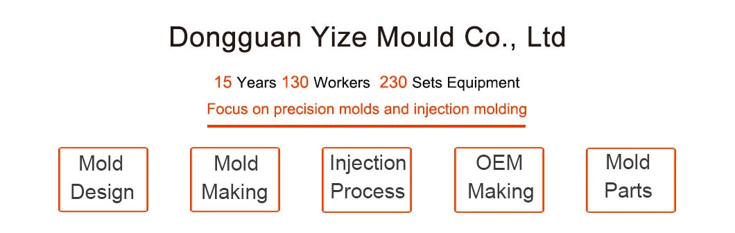 Medical Plastic Injection Mold for PFA PPO Medical Injection Service in Medical and Laboratory Equipment